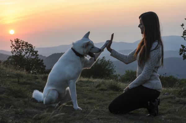Ketten a világ ellen