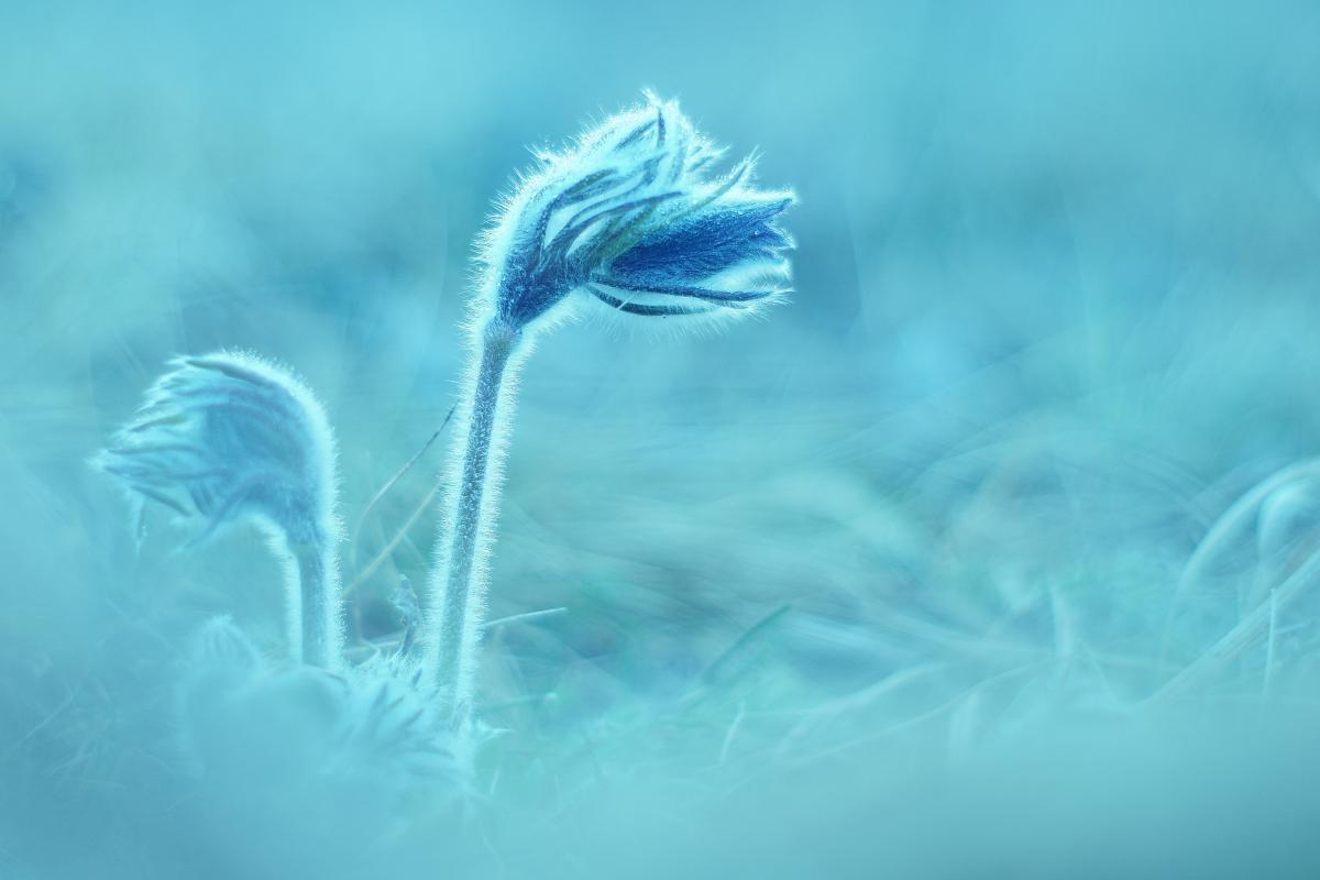 Kalmár Lajos Gábor