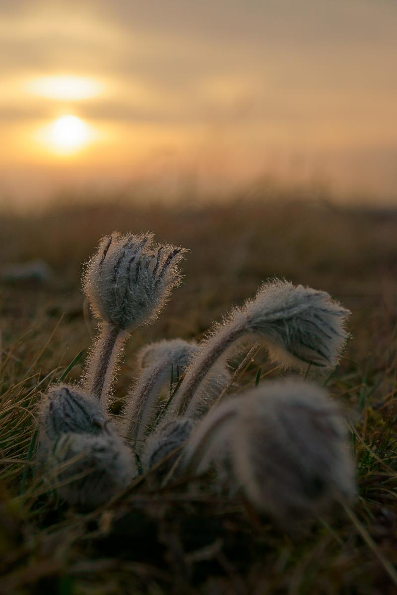 Kalmár Lajos Gábor