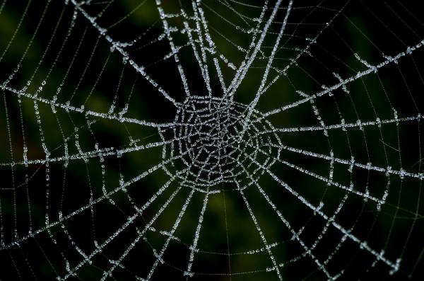 Kristályok és gyöngyök