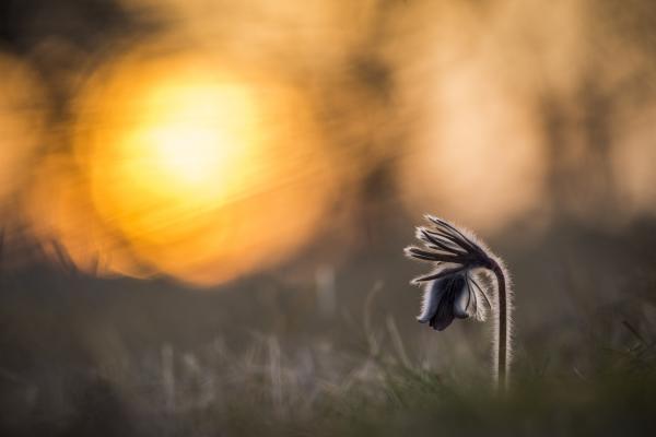 Reggeli nyújtózás