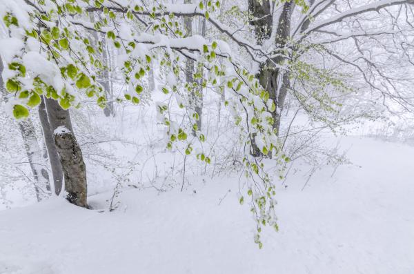 Szeszélyes április