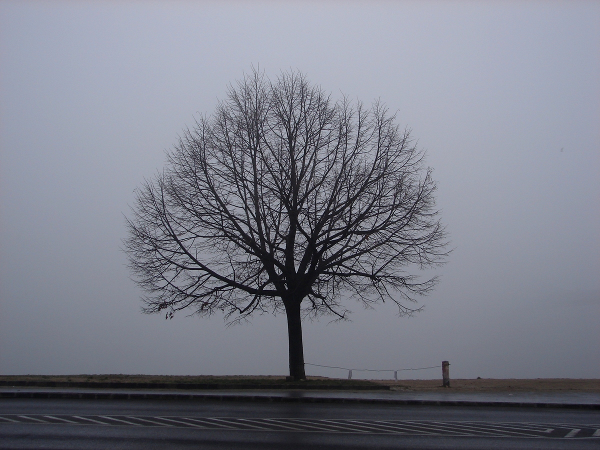 Laczkó-Magyar György