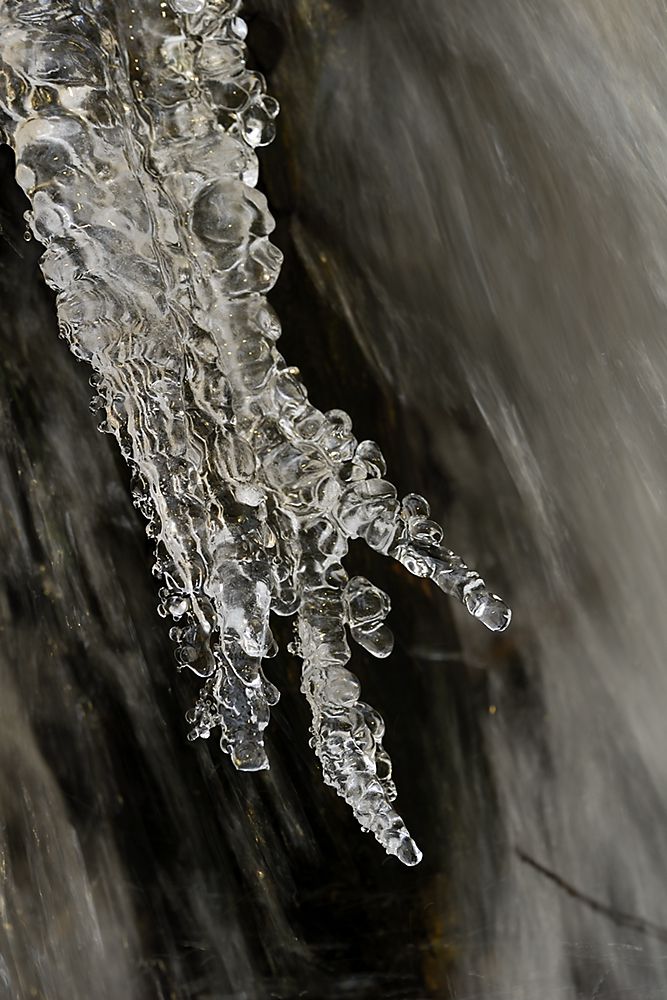 Násfayné Kőházi Mária