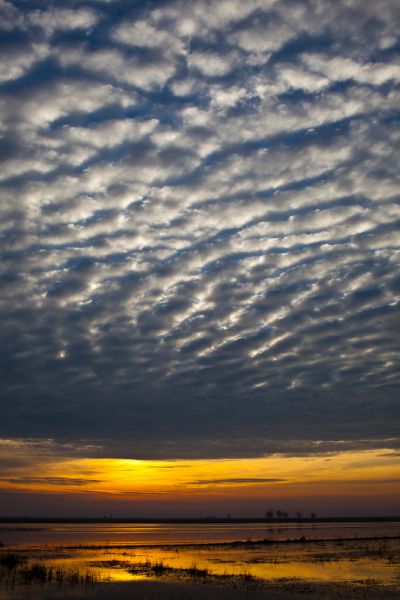 A hajnal új ruhája