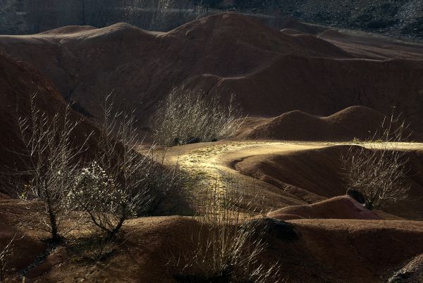 Élet a &quot;Marson&quot;