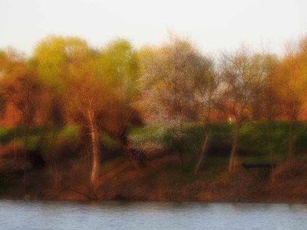 Csongrádi Holt-Tisza part