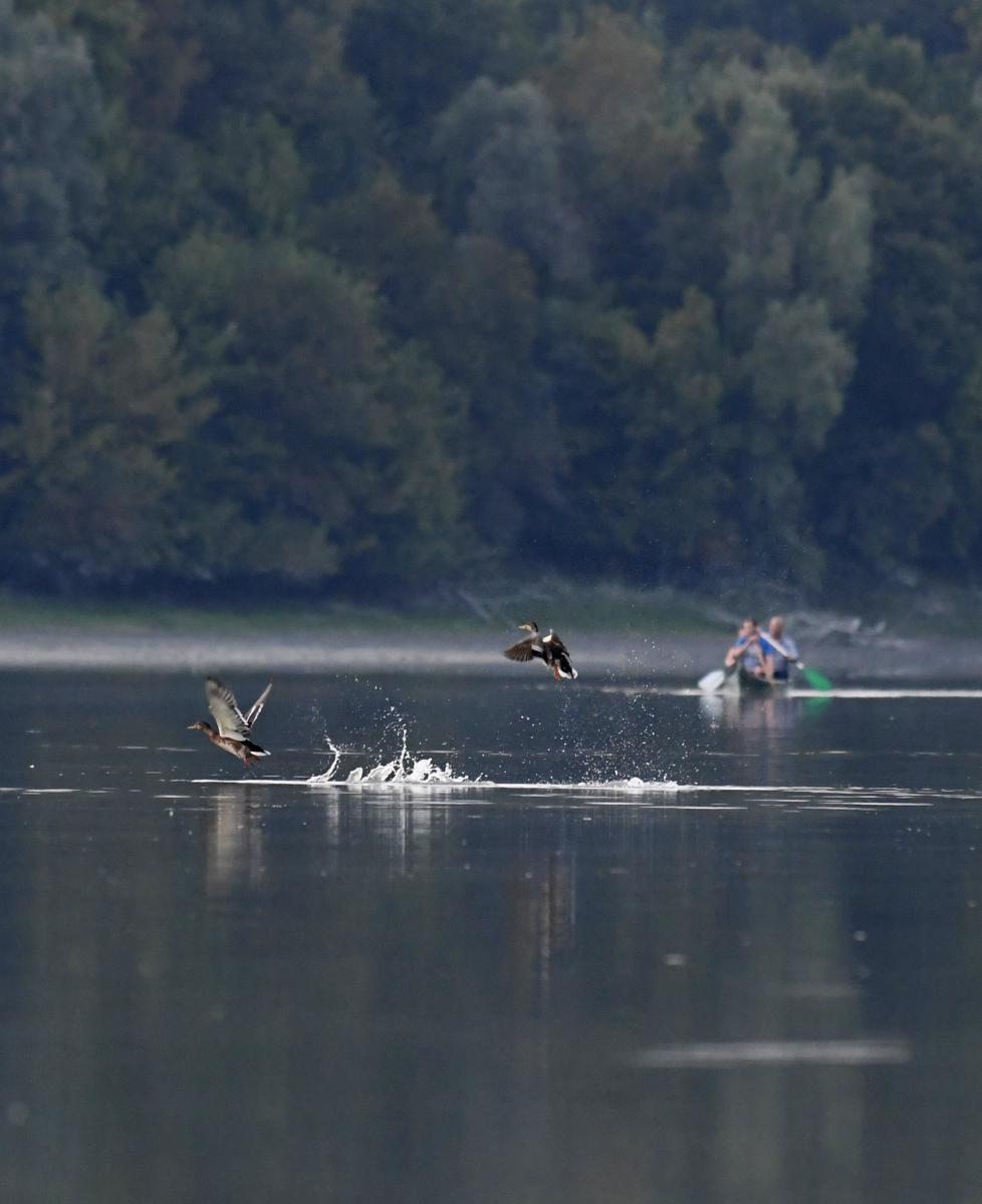 Násfayné Kőházi Mária