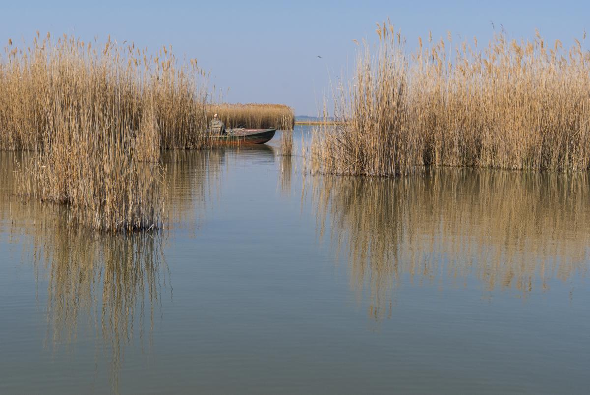 Gaál Zoltán Péter