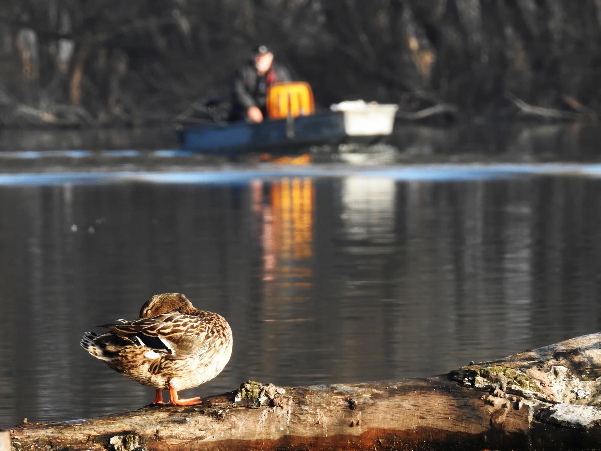 Koncz-Bisztricz Tamás