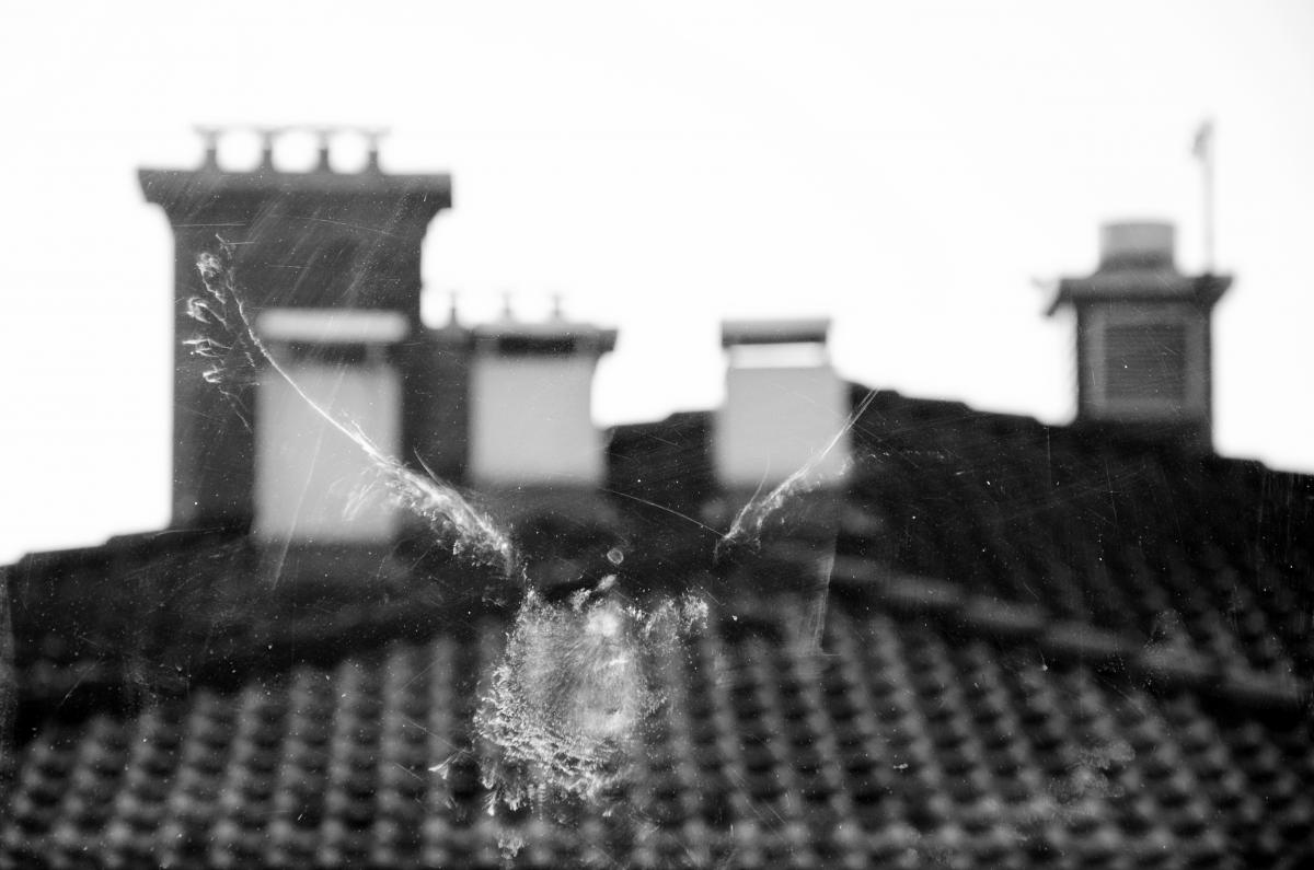 Berkesi Ágota Mirjam