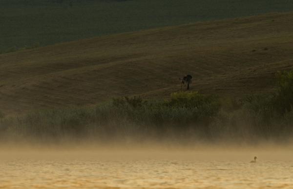 Pirkadat a vízparton