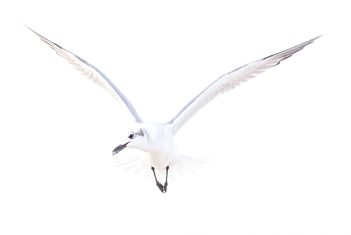 Erdélyiné Csorba Edit