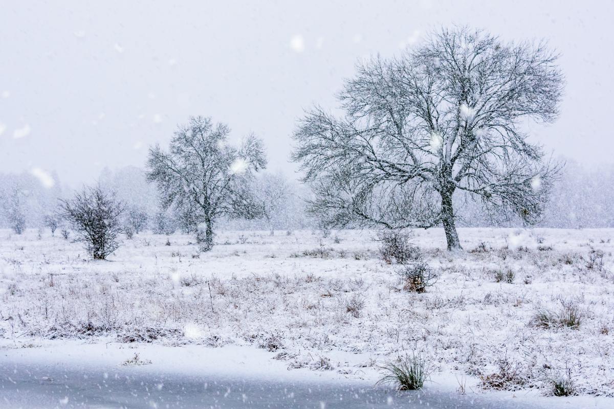 Szakolczai Krisztina