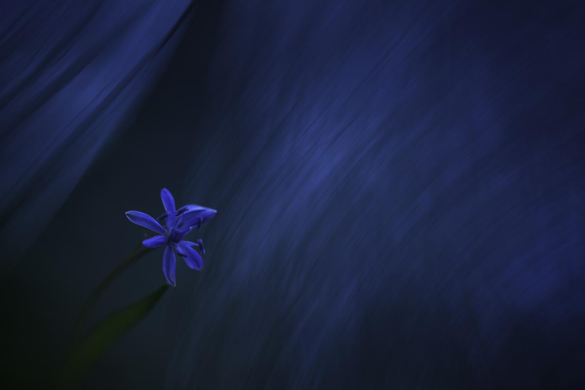 Darányiné Bakos Éva