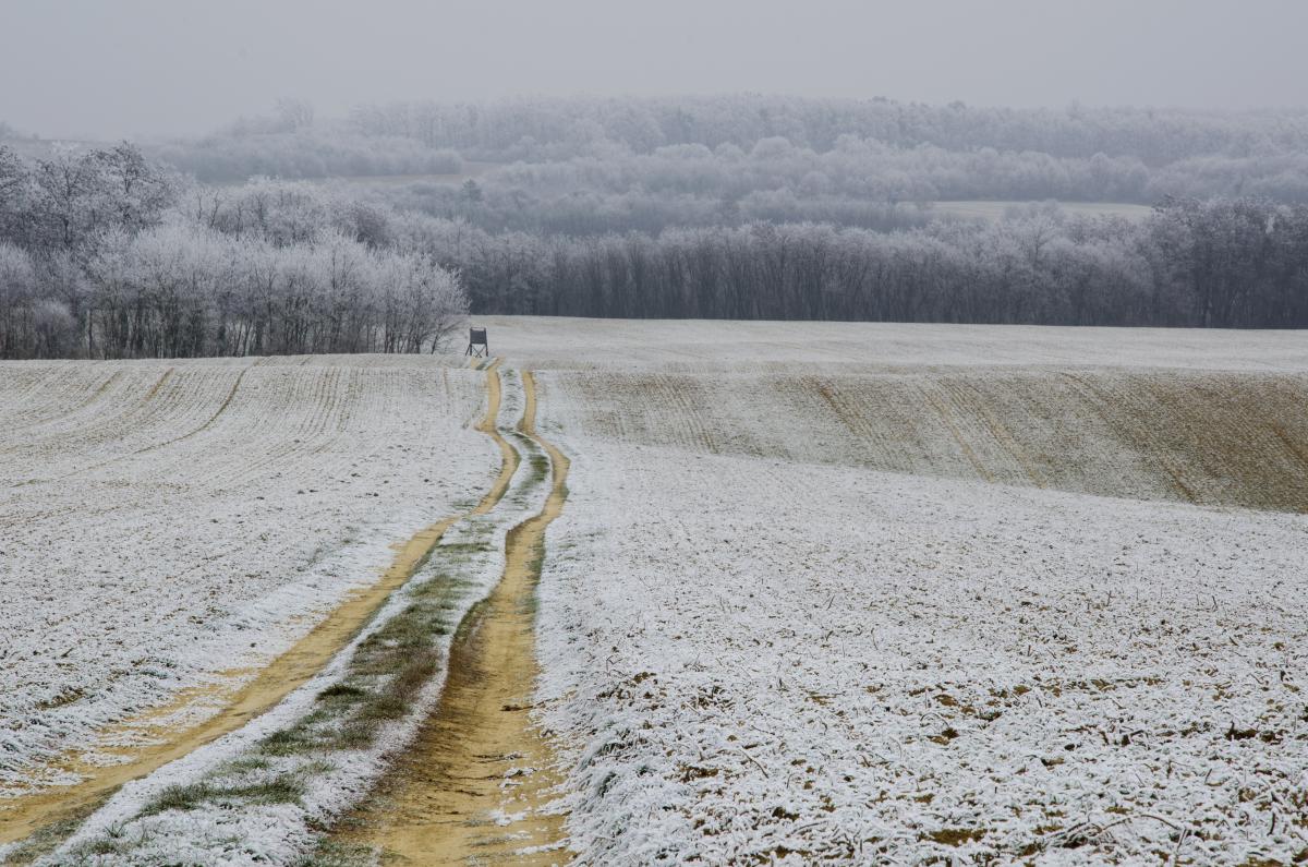 Berkesi Ágota Mirjam