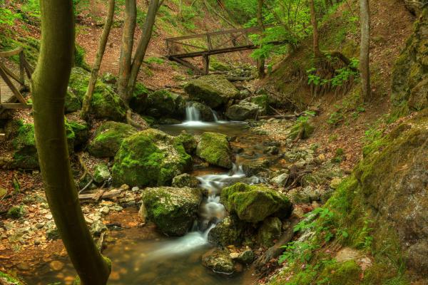 Dera-szurdok tavasszal 1