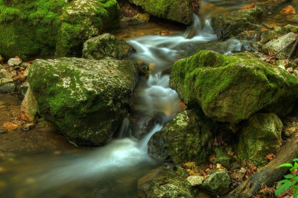 Dera-szurdok tavasszal 3