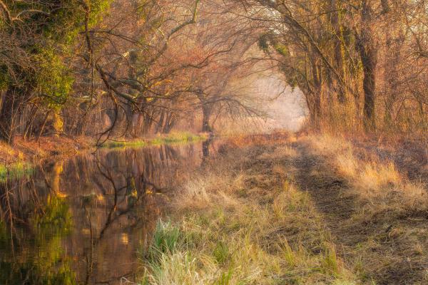 Impresszió, avagy kora tavasszal a pataknál
