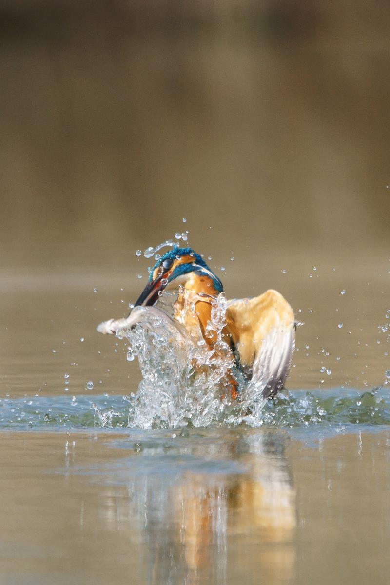 Kalmár Lajos Gábor