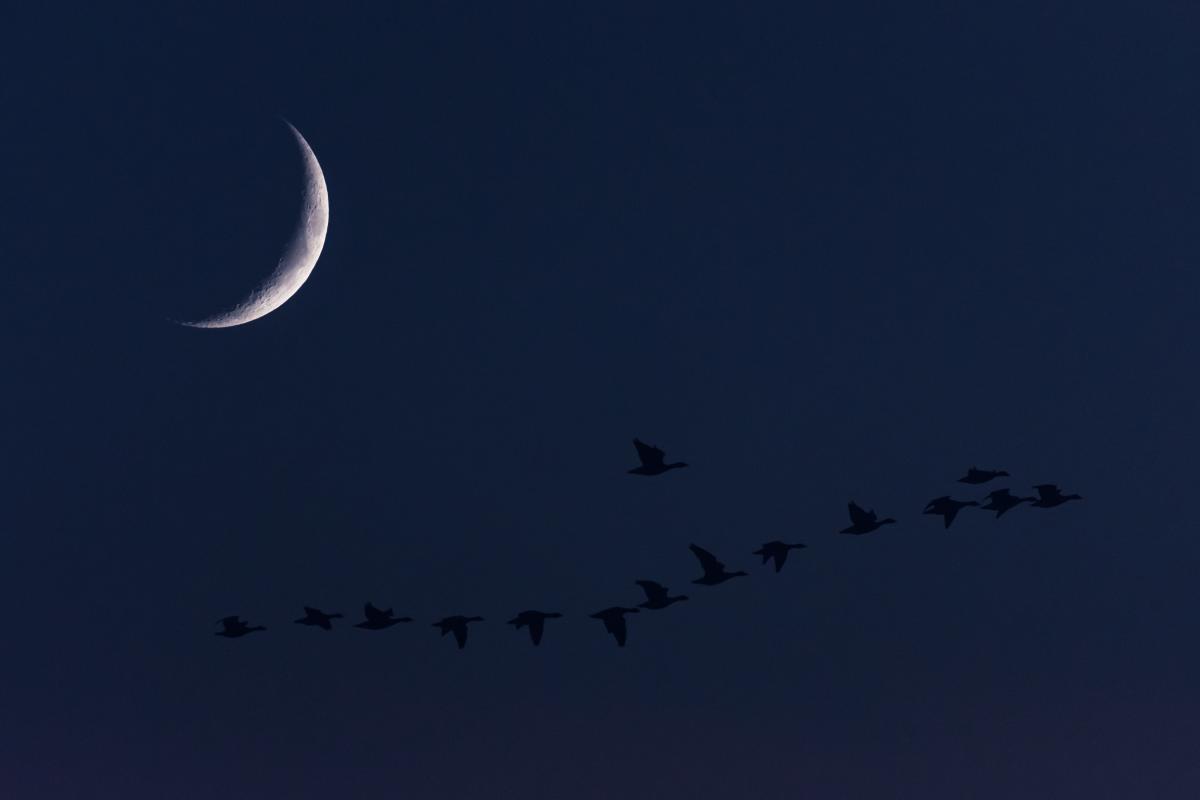 Szakolczai Krisztina