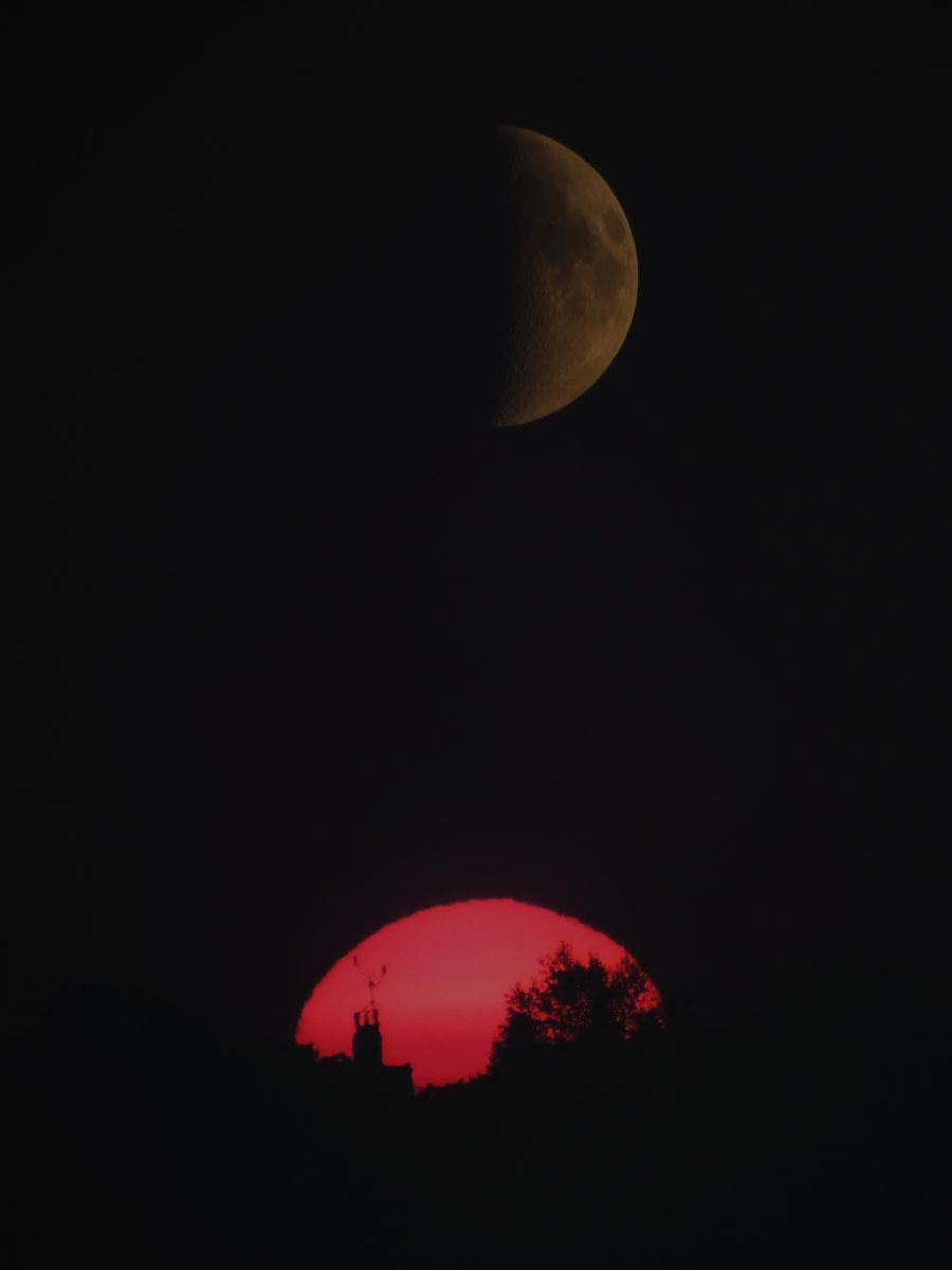 Koncz-Bisztricz Tamás