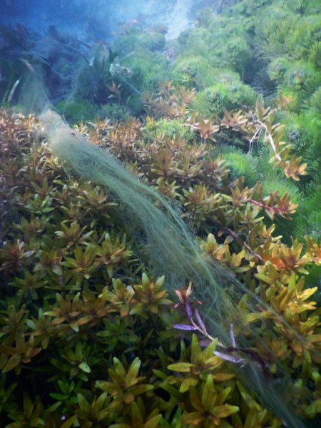 &quot;Fátyol vízesés&quot;