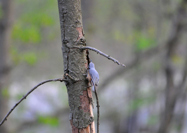 Csúszunk, csúszunk