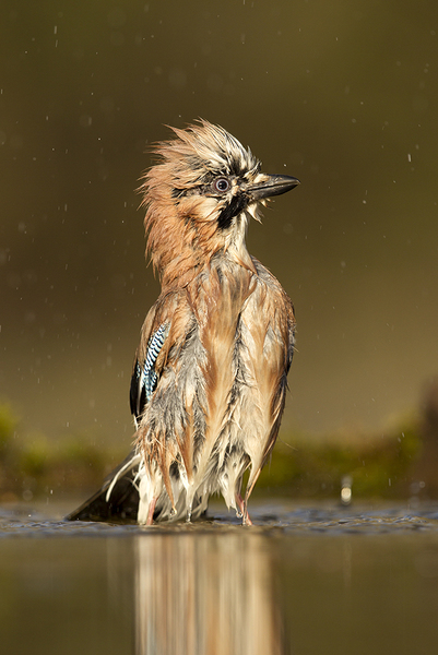 Átázva bár, de törve nem