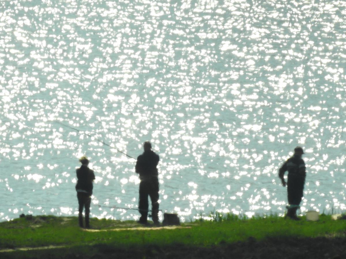 Koncz-Bisztricz Tamás