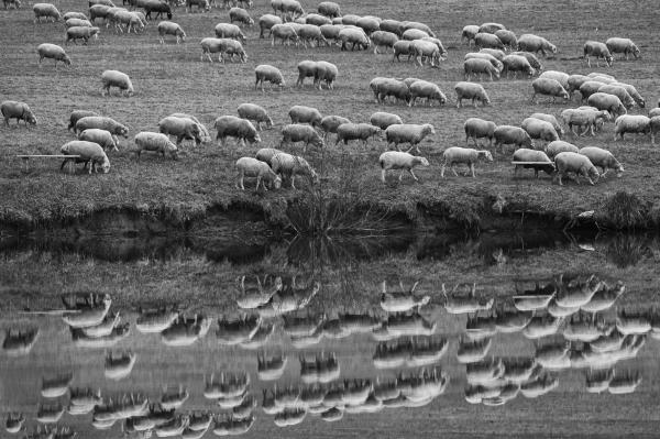 Mint fent, úgy lent