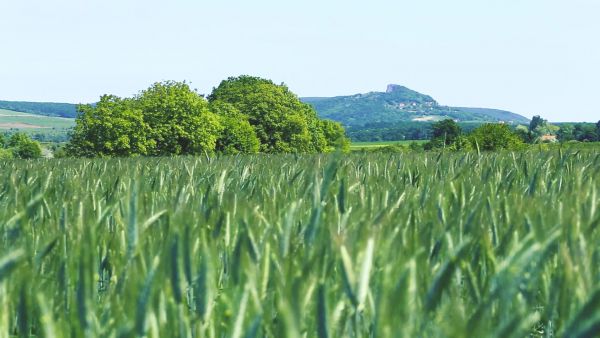 A hullámzó Balaton-felvidék