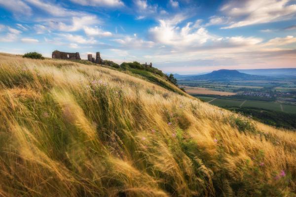 Szélfútta hegyoldal