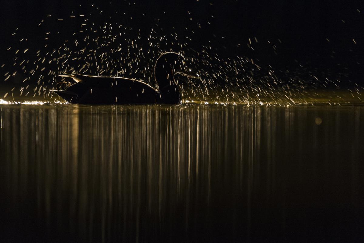 Gaál Zoltán Péter