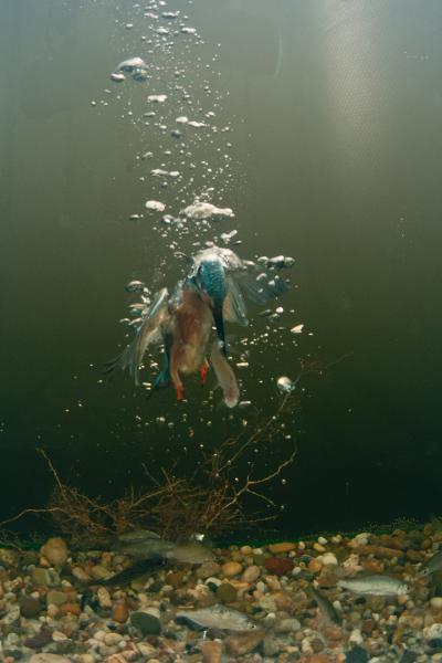 Megszolgált zsákmány