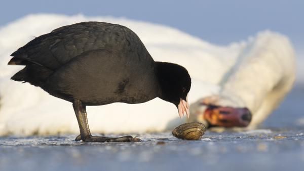 A halál árnyékában
