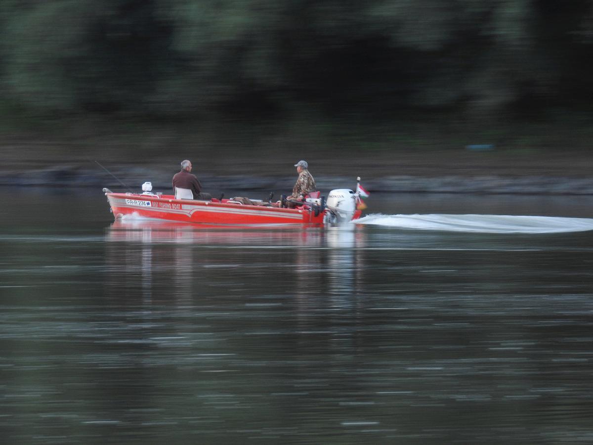 Koncz-Bisztricz Tamás