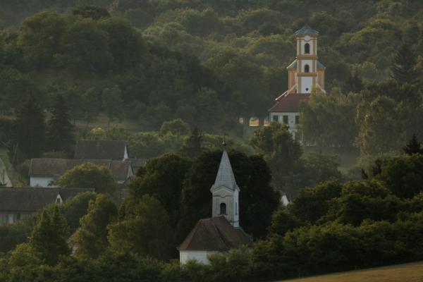 Falu az erdő mélyén