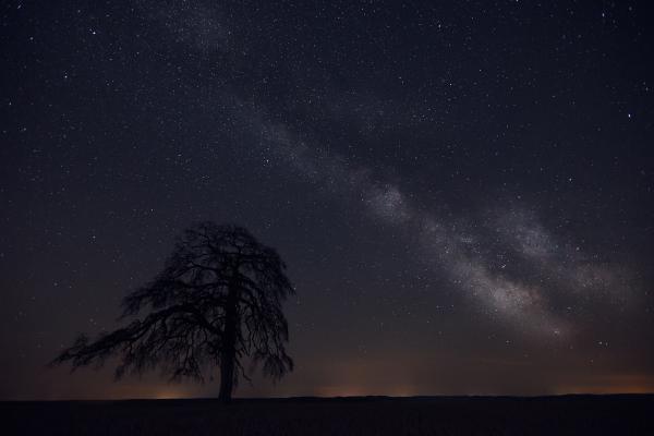 Egy betyár emlékére