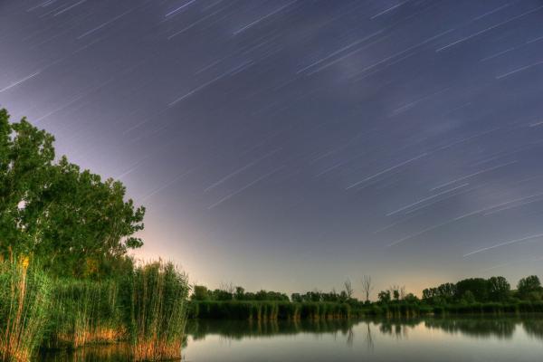 Csillagok közt holdfényben