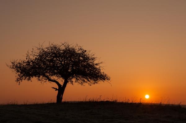 A Káli &quot;Masai Mara&quot;