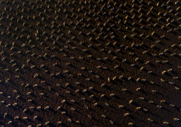 Személyes távolság