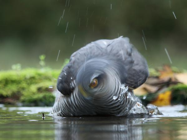 Azért még figyelek!