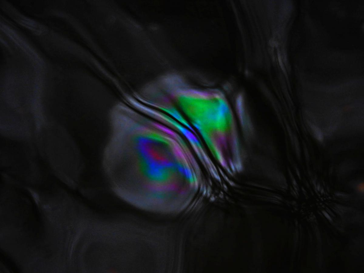 Koncz-Bisztricz Tamás