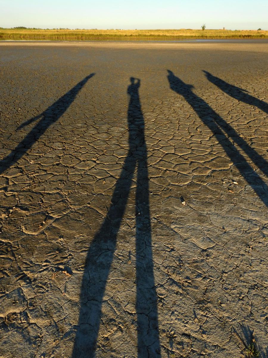 Koncz-Bisztricz Tamás