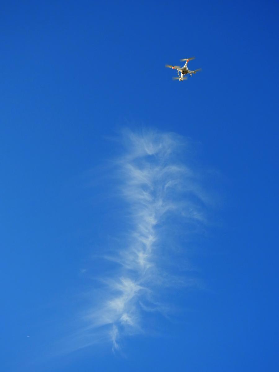 Koncz-Bisztricz Tamás