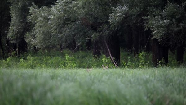 Mozgásban a természet