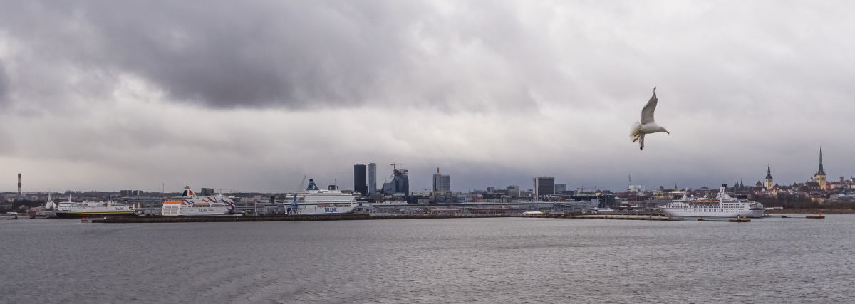 Gaál Zoltán Péter