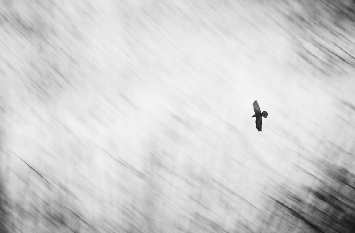 Darányiné Bakos Éva