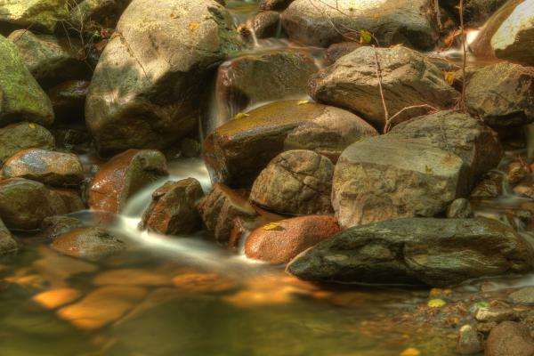 Kövek között csendesen